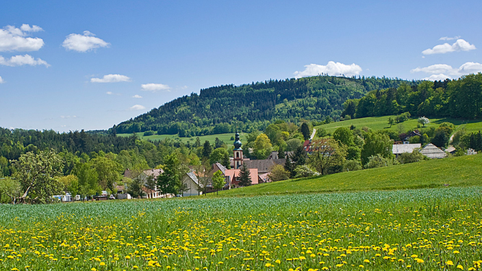 Idyllisches kleines Dorf inmitten einer Blumenwiese