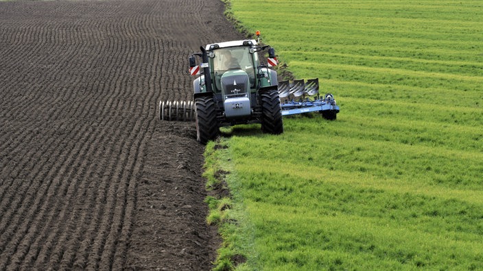 Traktor auf Feld