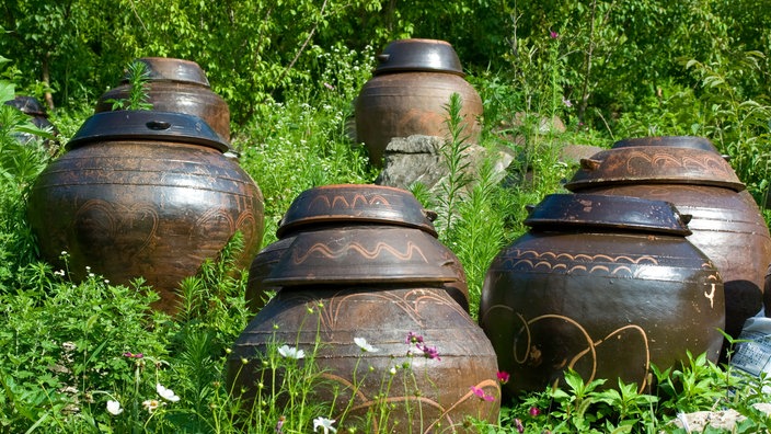 Kimchi-Töpfe auf einer Wiese