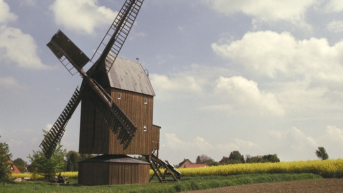 Die Bockwindmühle von Abbenrode südöstlich von Braunschweig