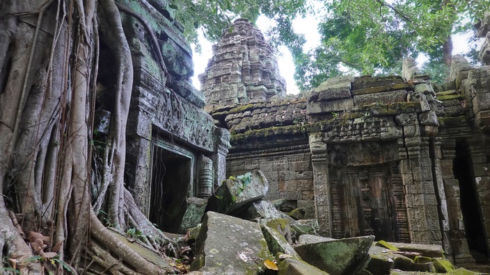 Verfallenes Gebäude des Tempels Ta Prohm in Angkor Wat, Kambodscha