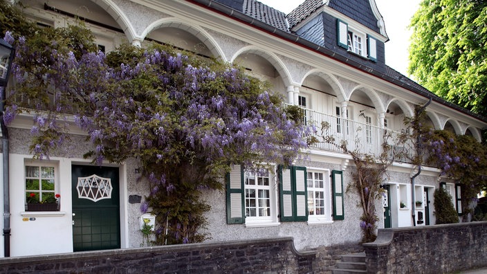 Fassade in der Essener Siedlung Margarethenhöhe. Rankpflanzen und Blumen in Kübeln verzieren das weiße Haus.