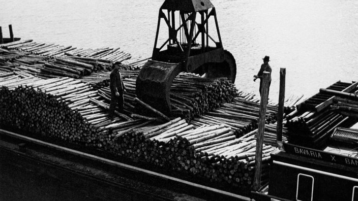 Ein Lastkahn voller Holzstämme. Auf den Stämmen stehen zwei Männer. Der Greifarm eines Krans greift nach einem Stapel Holz.