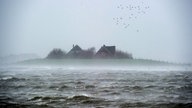 Hallig Langeneß bei "Land unter"