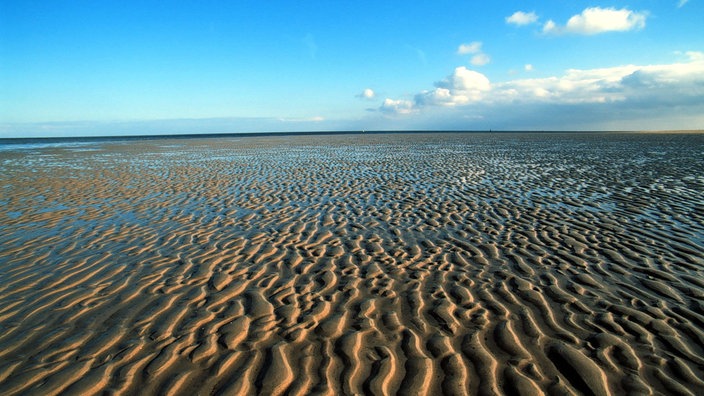 Rippeln im Watt vor strahlend blauem Himmel.