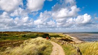 Die Braderuper Heide auf Sylt.