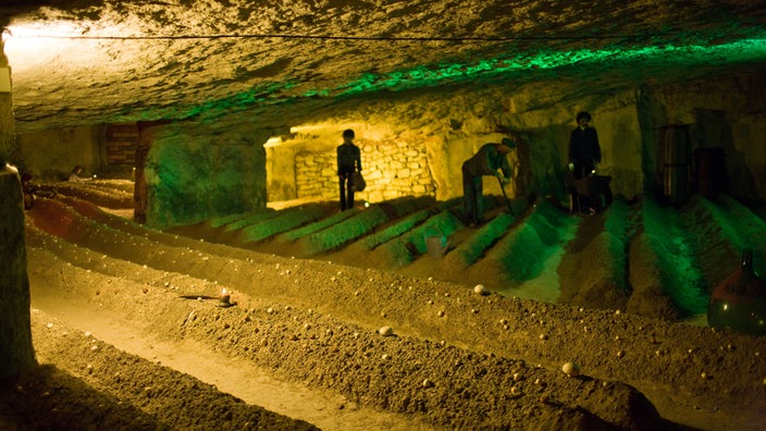 Champignonzüchtung in den Troglodyten