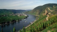 Die Mosel windet sich durch ihr Flussbett. Auf der linken Seite erkennt man den Ort Breitstein. Auf der rechten Seite Weinhügel und die Ruinen der Burg Metternich.