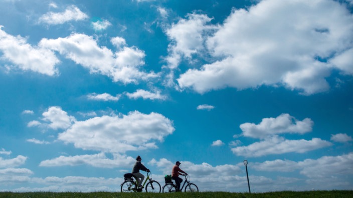 Fahrradfahrer auf dem Oderdeich