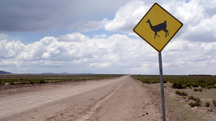 Ein Lama-Warnschild an einer Schotterpiste.