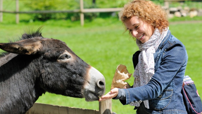 Ein Esel wird von einer Frau gefüttert.