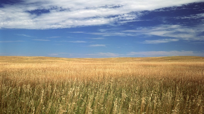 Grassteppe im Badlands Nationalpark des US-amerikanischen Bundesstaates Süd-Dakota