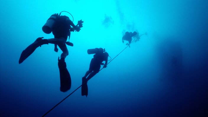 Zwei Taucher schwimmen entlang eines Seils Richtung Wasseroberfläche.