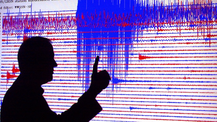 Grafische Darstellung von Erdbebenwellen in einem Seismogramm.