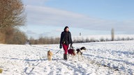 Eine Frau geht mit Hunden neben sich über einen Wanderweg.