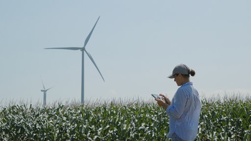 Eine Person steht mit einem Tablett an einem Maisfeld, im Hintergrund sieht man zwei Windräder.