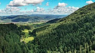 Drohnenaufnahme: Blick ins Elztal bei Kandel.