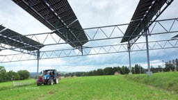 Ein Traktor fährt über einen grünen Acker über dem eine Solaranlage aufgebaut wurde.