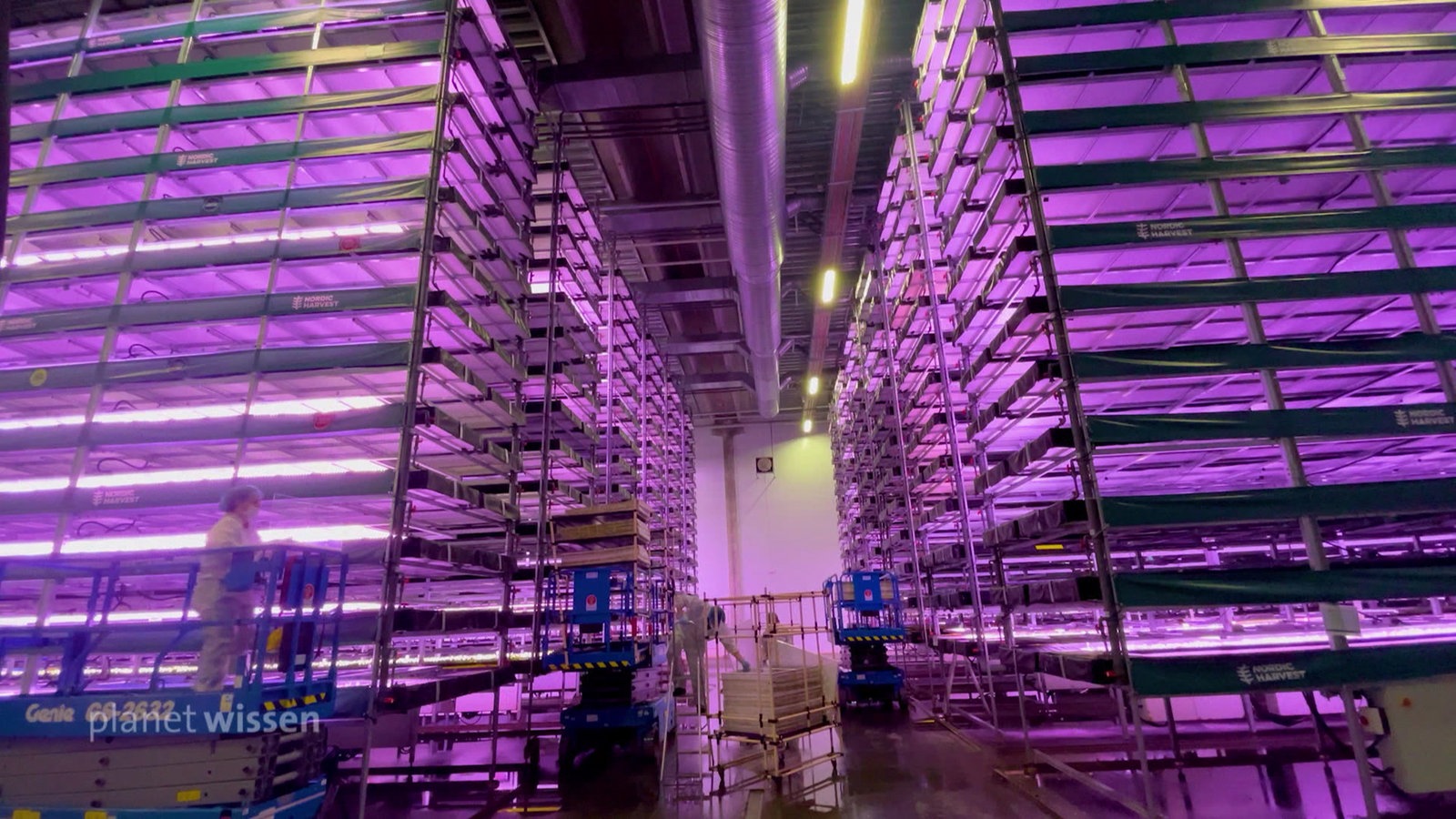 Blick in eine hohe Lagerhalle mit riesigen Regalen, die in violettes Licht gehüllt sind.