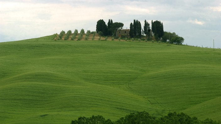 Landschaft in der Toscana