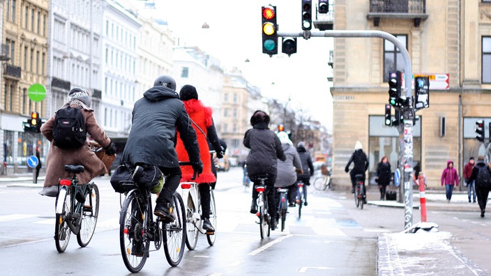 Viele Radler von hinten an einer Ampel 